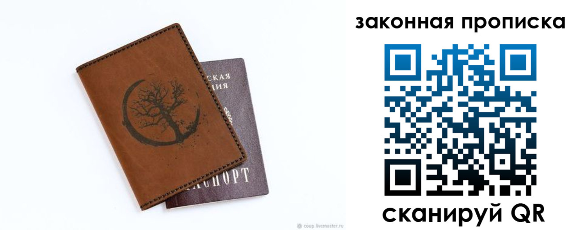 где прописаться в Светлогорске