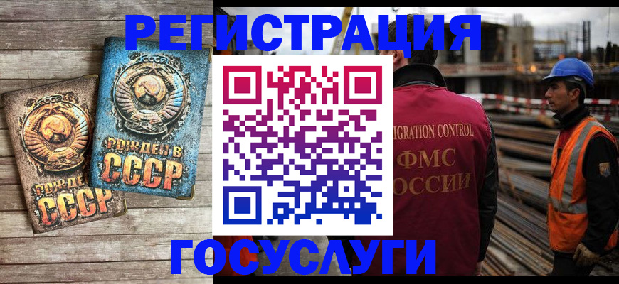 где прописаться в Светлогорске